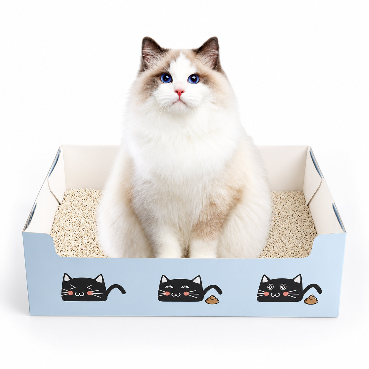 Disposable Cat Litter Box