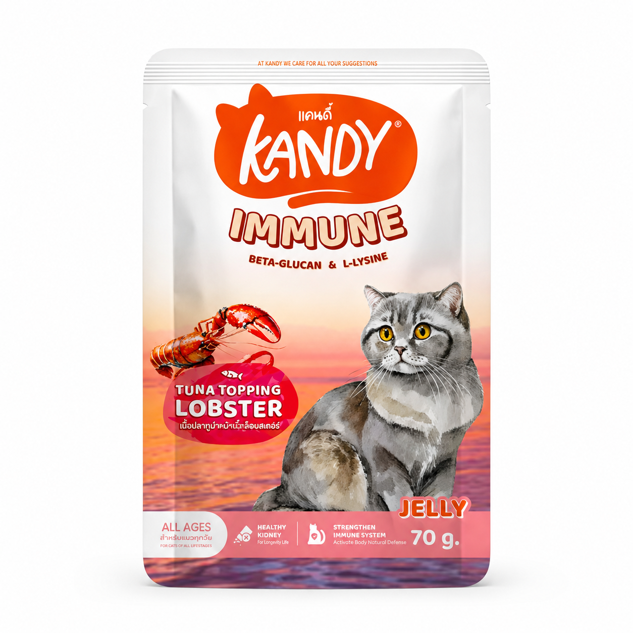 Kandy Cat Wet Food Immune Formula 70g